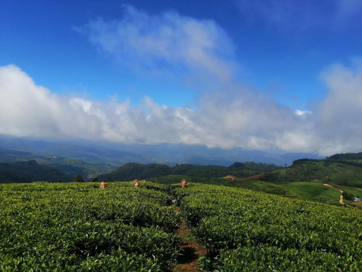 Unique View Nuwaraeliya Otel Nuwara Eliya Dış mekan fotoğraf