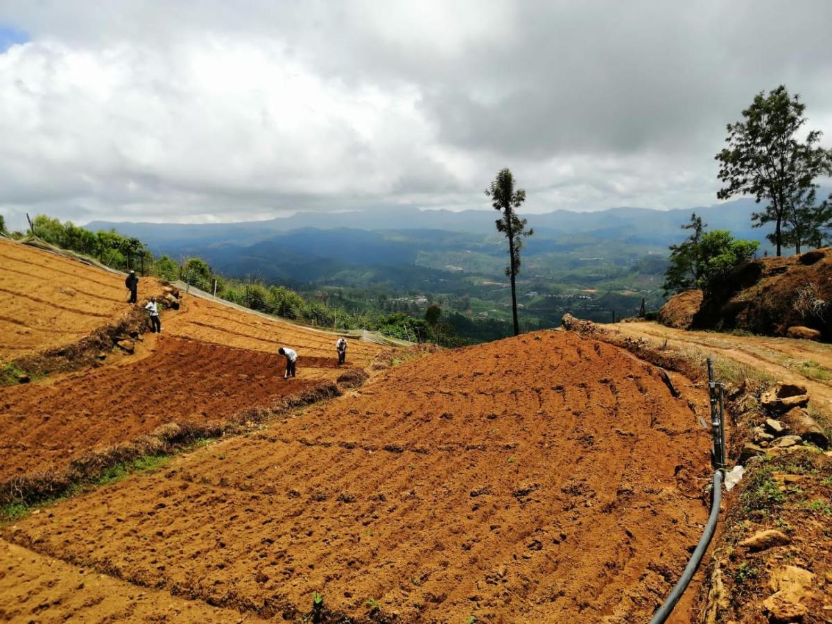 Unique View Nuwaraeliya Otel Nuwara Eliya Dış mekan fotoğraf
