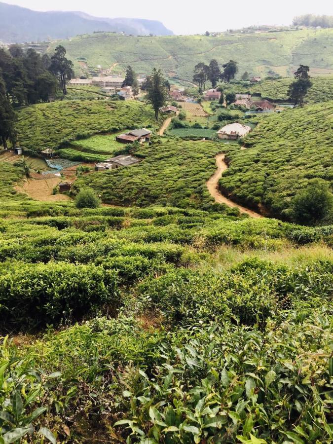 Unique View Nuwaraeliya Otel Nuwara Eliya Dış mekan fotoğraf